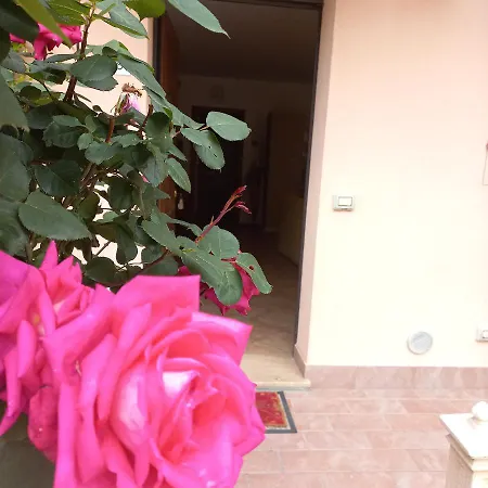 Barbara Meniconi Lejlighed Città della Pieve